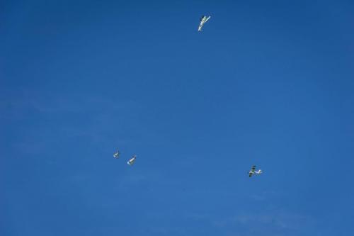 IMG-20250420-WA0141